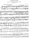 Sonata1.gif (37283 bytes)